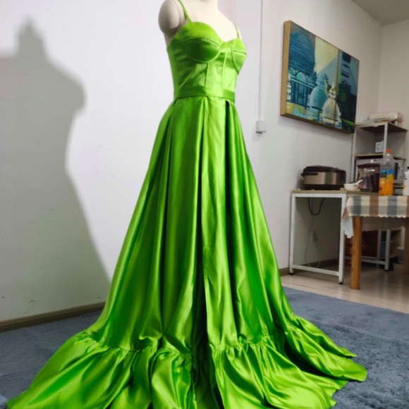 Plus Size Pink Gown/Prom Dress - Picture 10 of 10